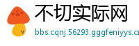 不切实际网